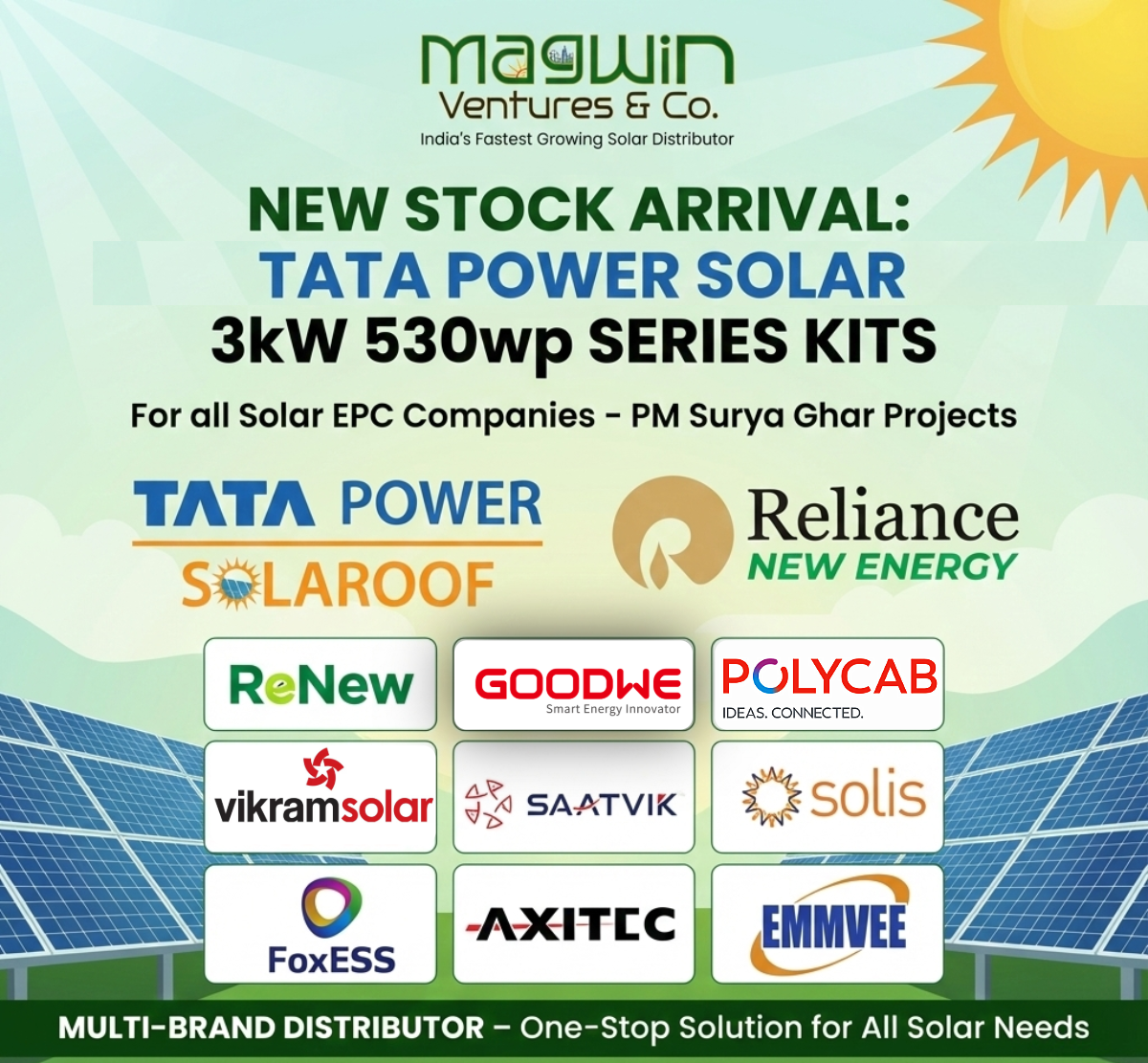 Magwin Initiative Flyer